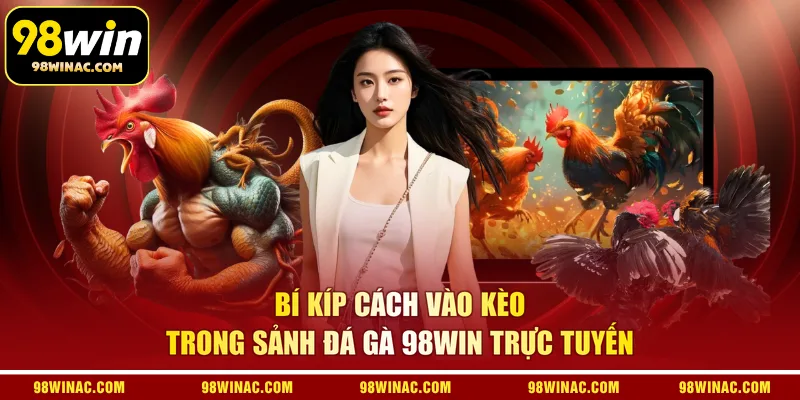 Bí kíp cách vào kèo trong sảnh đá gà 98WIN trực tuyến