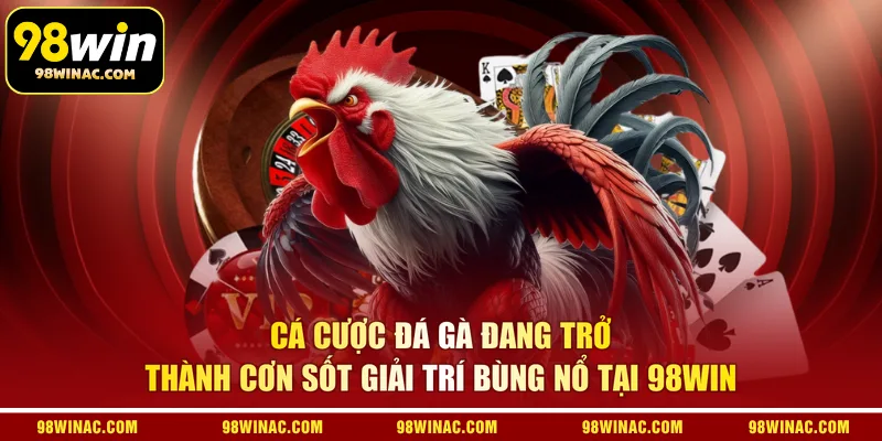Cá cược đá gà đang trở thành cơn sốt giải trí bùng nổ tại 98WIN