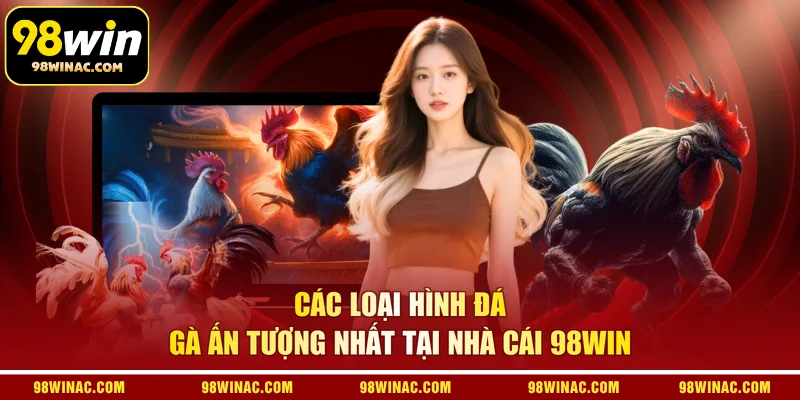 Các loại hình đá gà ấn tượng nhất tại nhà cái 98WIN