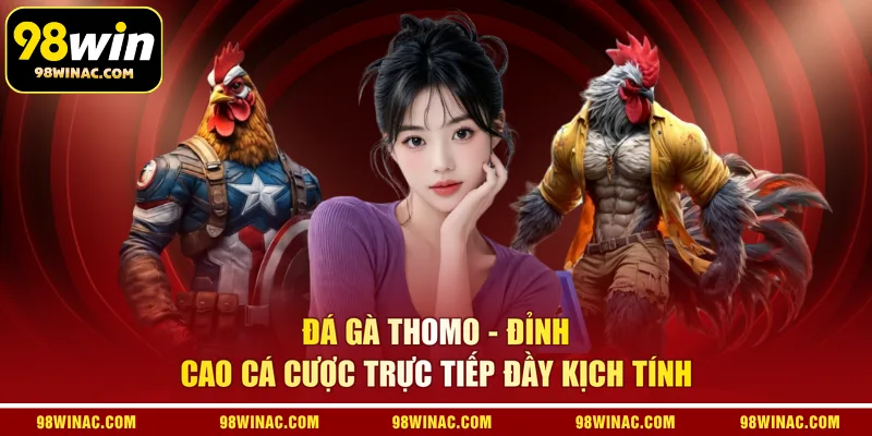Đá gà Thomo - Đỉnh cao cá cược trực tiếp đầy kịch tính