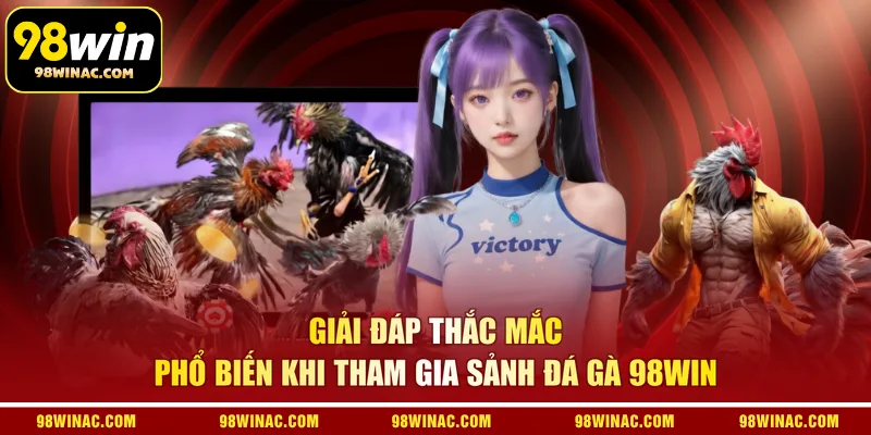 Giải đáp thắc mắc phổ biến khi tham gia sảnh đá gà 98WIN