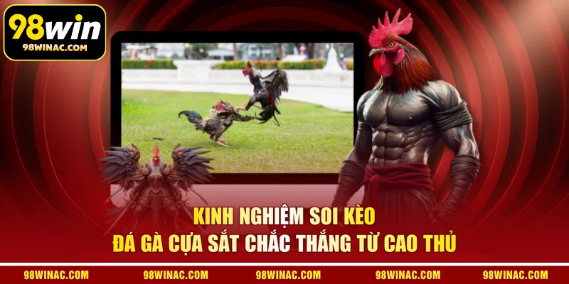 Kinh nghiệm soi kèo đá gà cựa sắt chắc thắng từ cao thủ