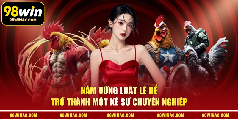 Nắm vững luật lệ để trở thành một kê sư chuyên nghiệp