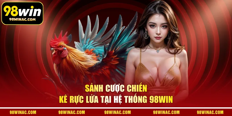 Sảnh cược chiến kê rực lửa tại hệ thống 98WIN