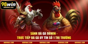 Sảnh Đá Gà 98WIN