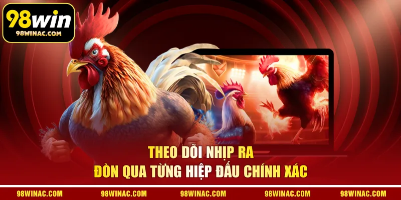 Theo dõi nhịp ra đòn qua từng hiệp đấu chính xác