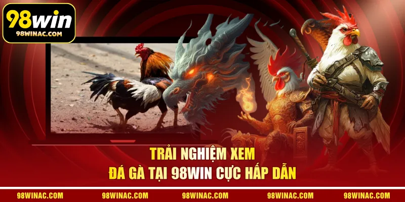 Trải nghiệm xem đá gà tại 98WIN cực hấp dẫn
