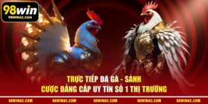 Trực Tiếp Đá Gà