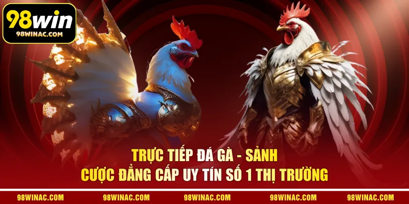 Trực Tiếp Đá Gà